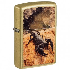 Scorpion
