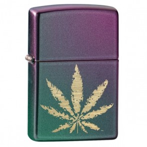 Cannabis