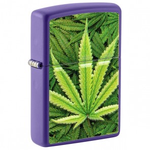 Cannabis